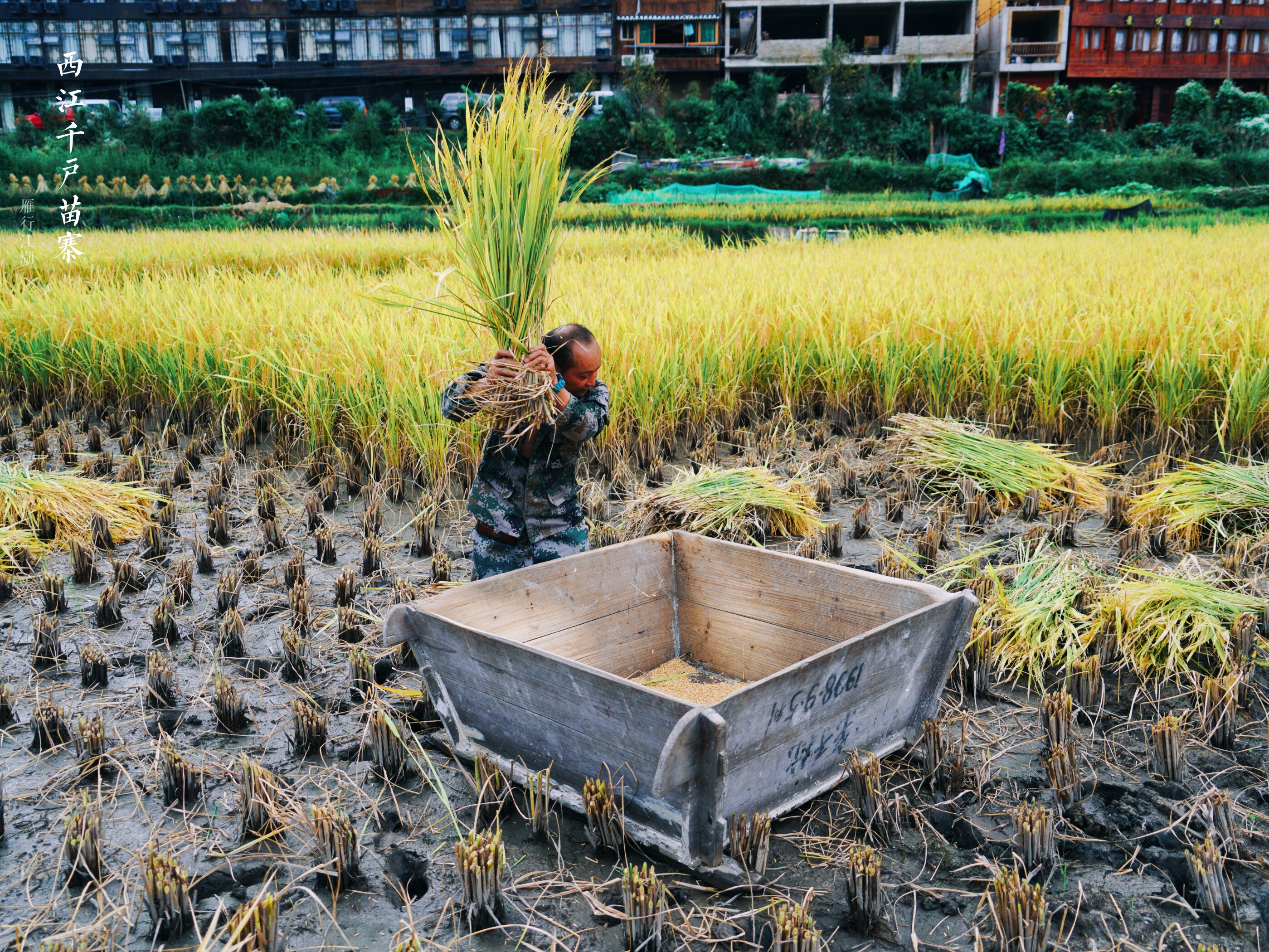 带你走进世界第一大苗寨,西江苗寨是世界上最大的苗寨吗