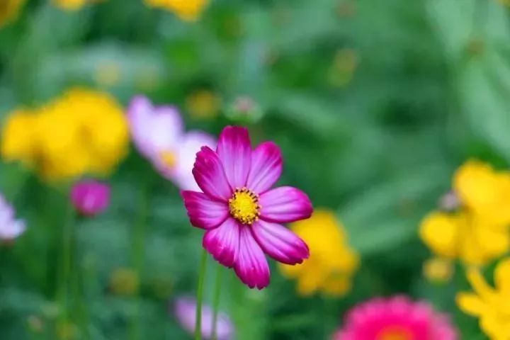 秋天适合旅游的地方易县,清西陵秋冬美景