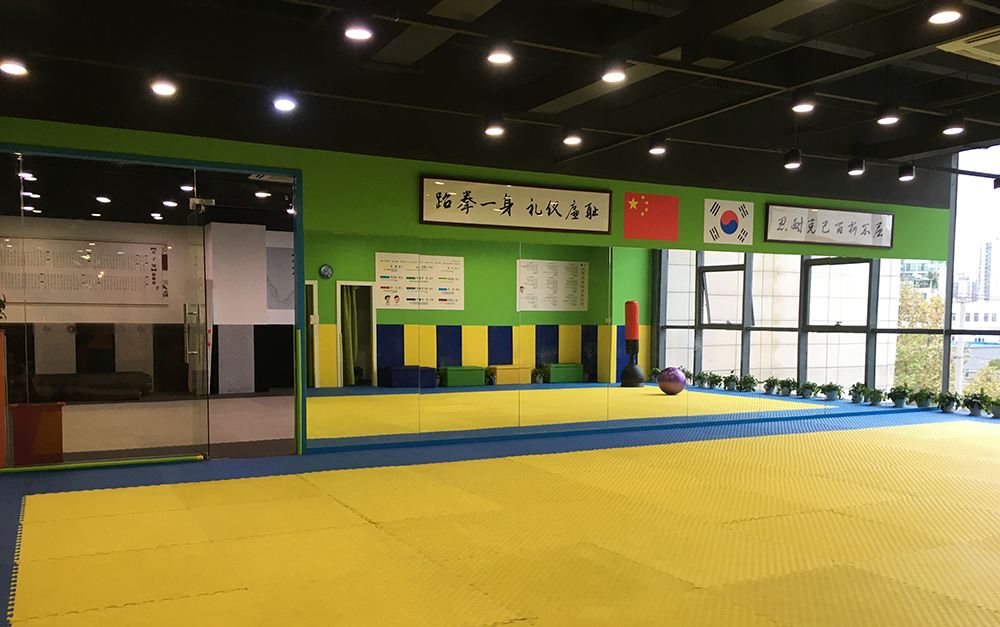 河北文安的学校,河北文安学校