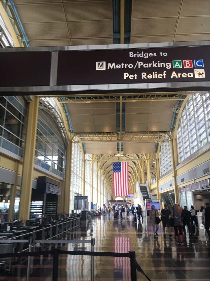 美国纽约自驾游最佳路线图,美国西部大环线自驾游攻略