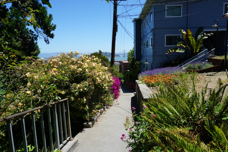 美国纽约自驾游最佳路线图,美国西部大环线自驾游攻略