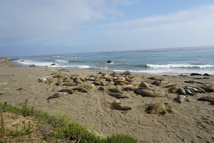 美国纽约自驾游最佳路线图,美国西部大环线自驾游攻略