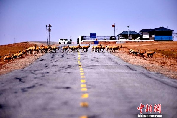 我国这个被世界认可的“净土”，是“生命的禁区”