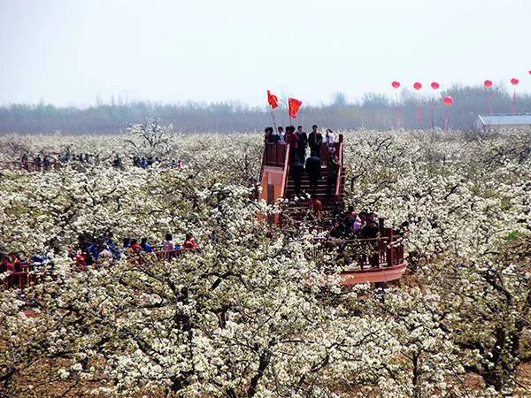 农秀才：农业农村部推荐100个休闲农业和乡村旅游精品景点线路