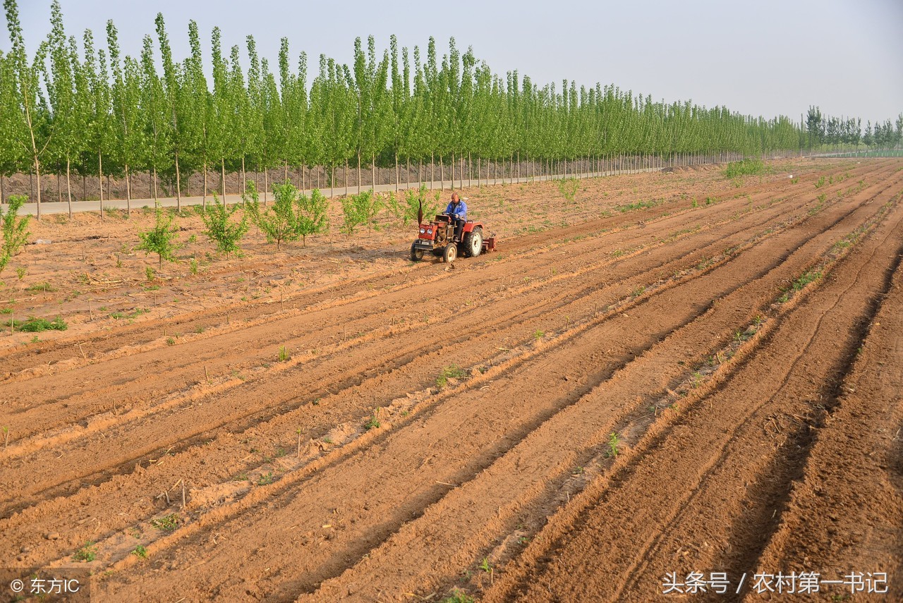 农民违建房屋强拆农民怎么办,村干部有权强拆农房吗