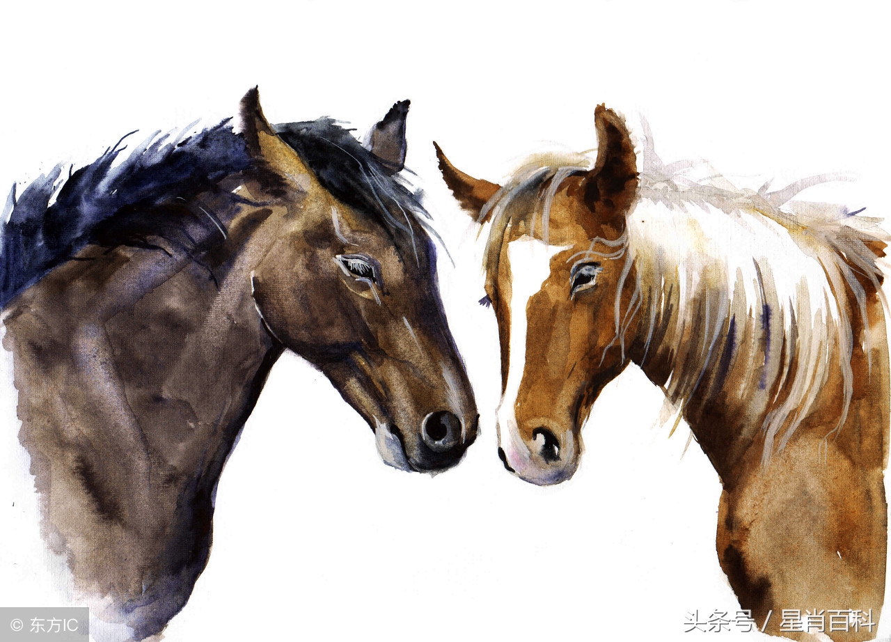 十二生肖马的逐月运程,生肖马逐月出生运势如何