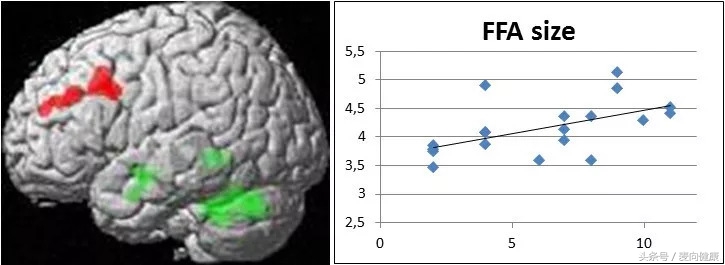 紧急避孕药对大脑有影响吗,避孕药对大脑有伤害吗