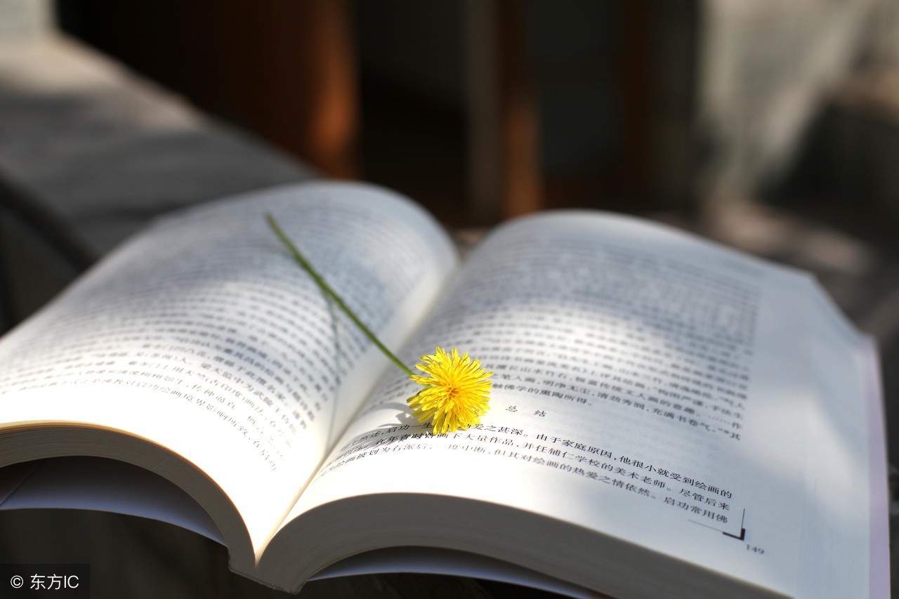 中国人为什么学语法,中国人为什么不学逻辑学