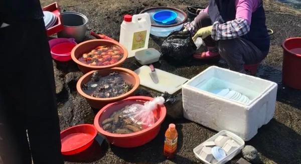 到济州岛旅行行程,济州岛一年往返12次