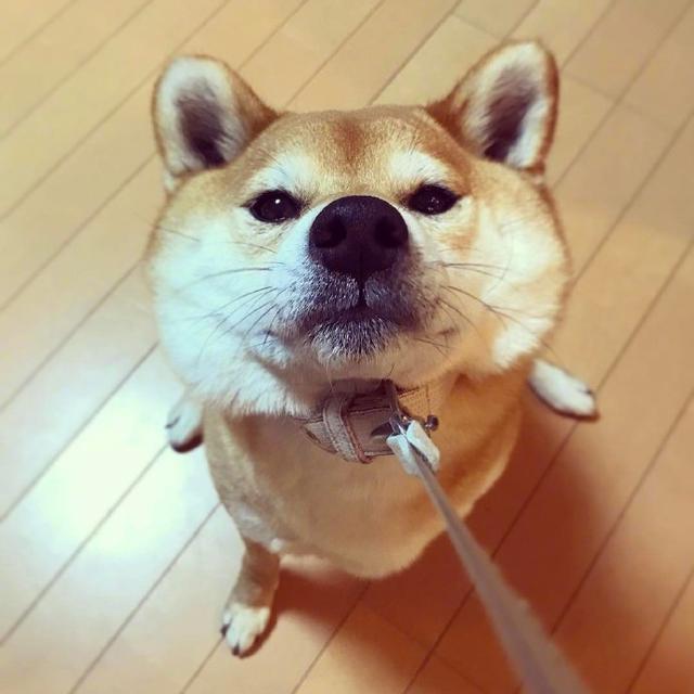 早安坚持励志正能量的句子朋友圈,晚上加班发朋友圈励志的精美句子