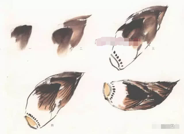 蔬菜怎么画最简单的画法,水果蔬菜怎么画又简单