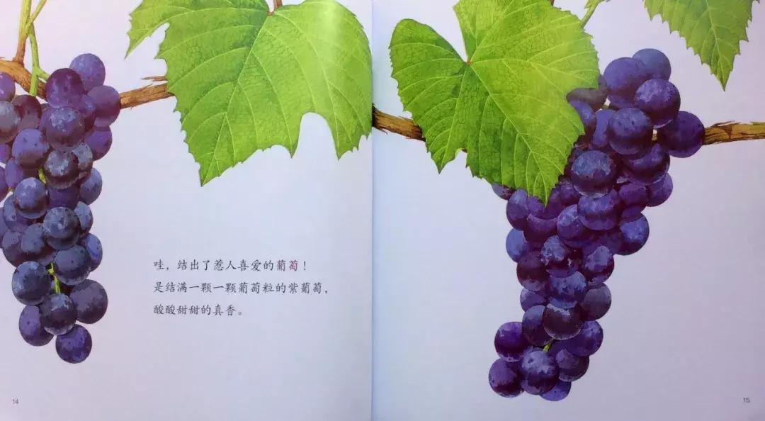 1-3岁地板书绘本,儿童绘本3-6岁套装推荐