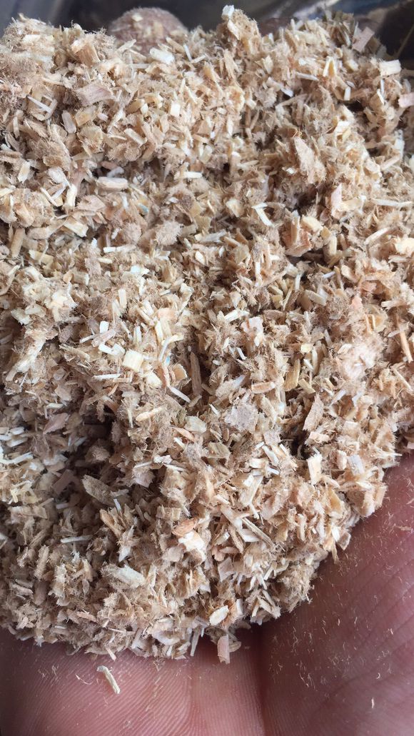 养好兰花的材料,养好兰根的主因是什么