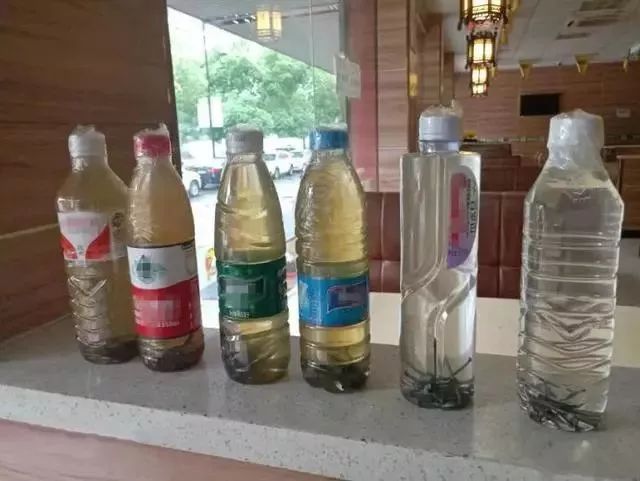 给花浇凉白开,给花浇多菌灵水会怎样