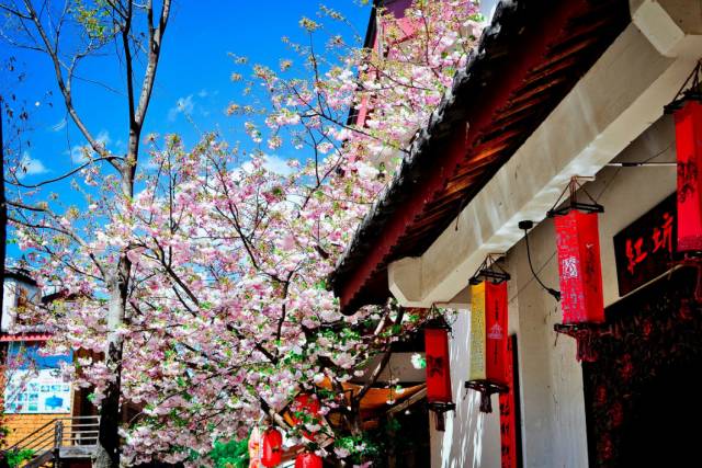 国庆到来一场释放身心旅行,国庆长假自驾