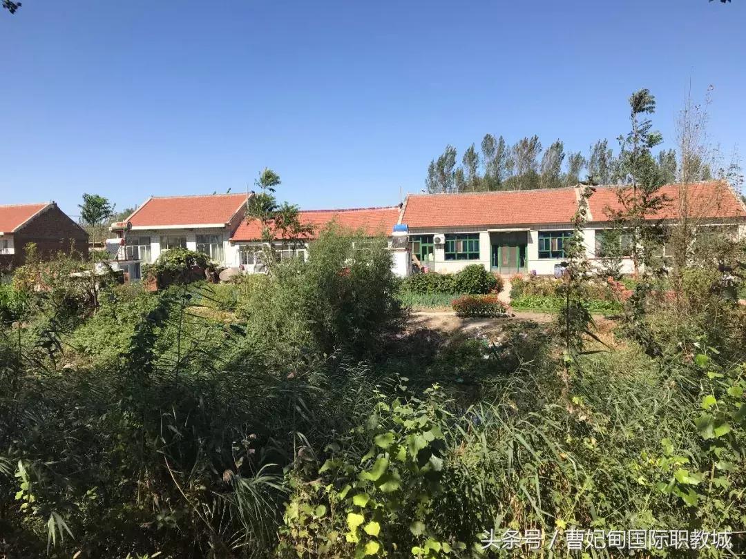 贝茨勋爵徒步日记完整版 (贝茨勋爵生命的谢幕)