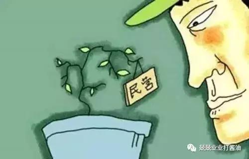 义乌鸡毛飞上天原型女企业家破产,浙江首富鸡毛飞上天原型