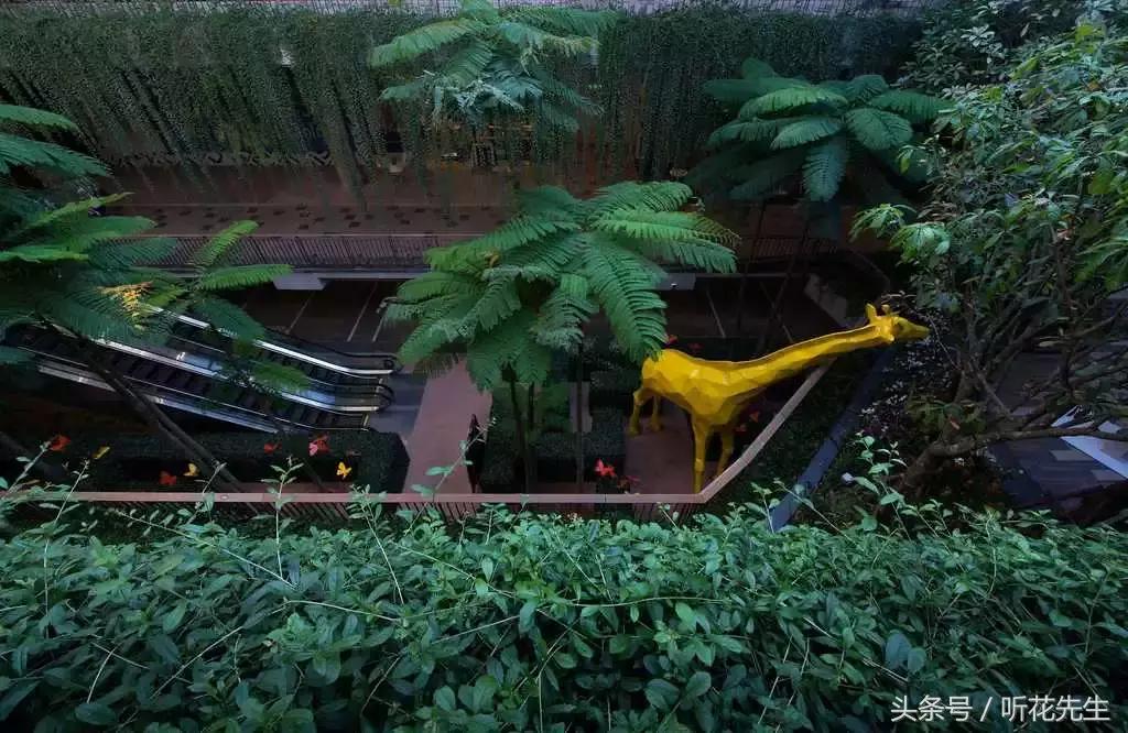 商业街景观设计提升方案,街景商业空间设计