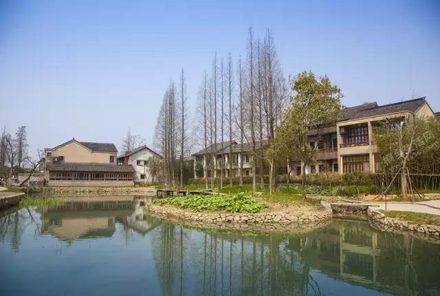 乡村振兴看浙江,乌镇乌村考察报告