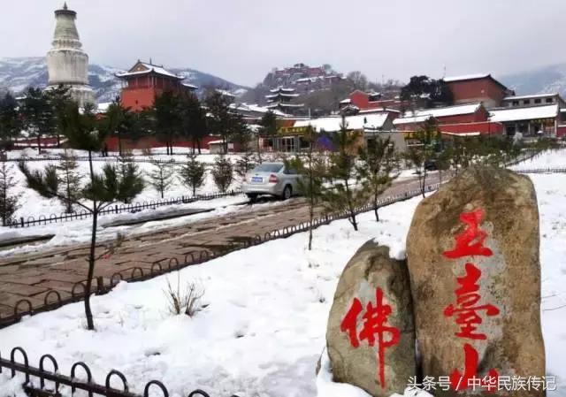 生命中总会有无意间拯救我们的佛