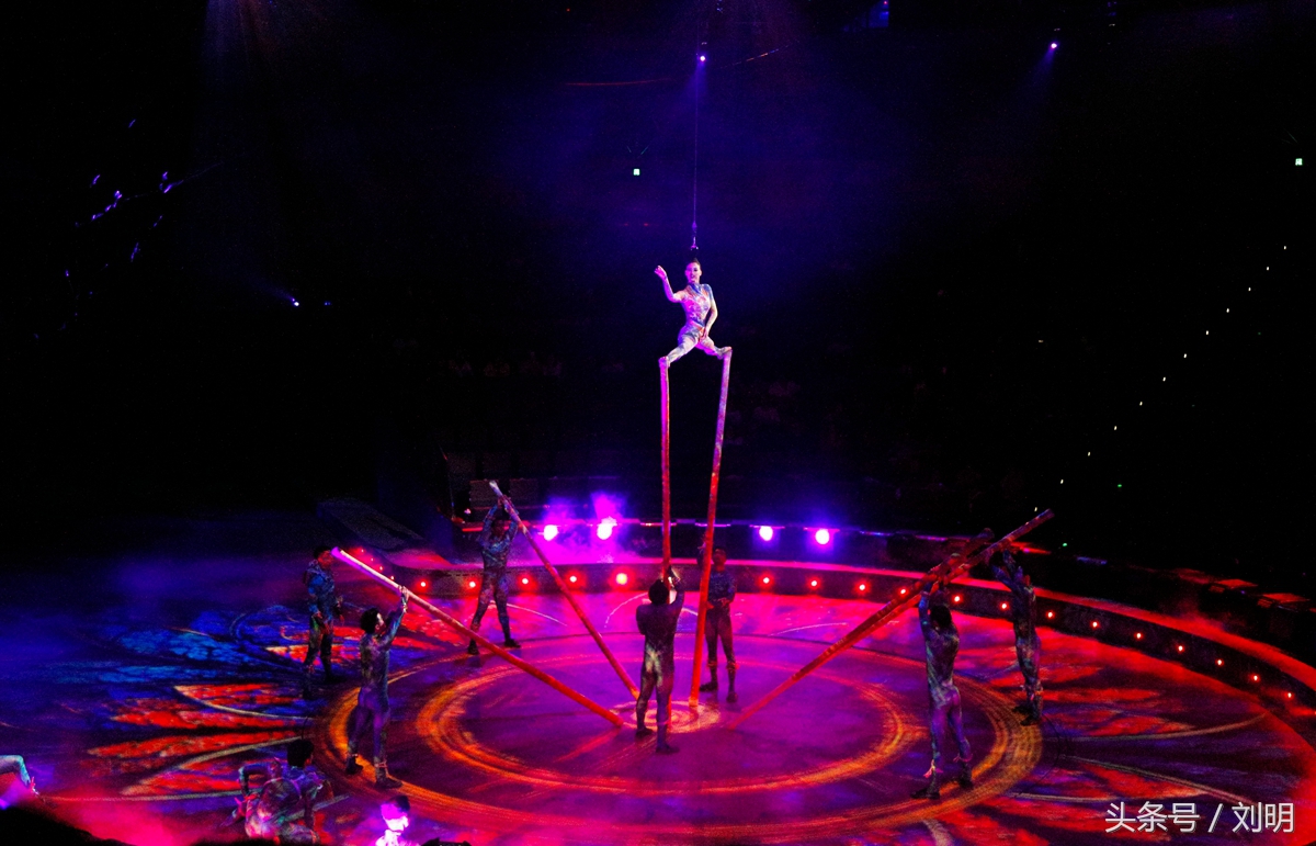 蚂蚁旅游专线云南之旅,蚂蚁旅游行