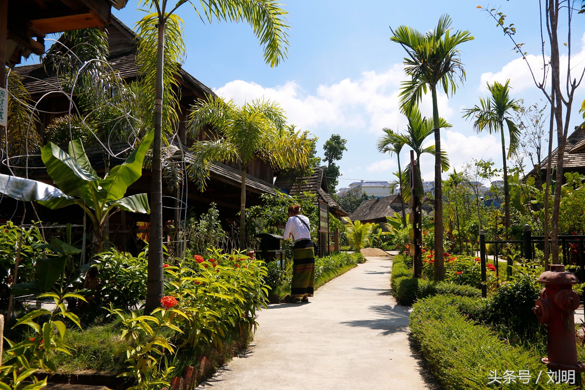 蚂蚁旅游专线云南之旅,蚂蚁旅游行