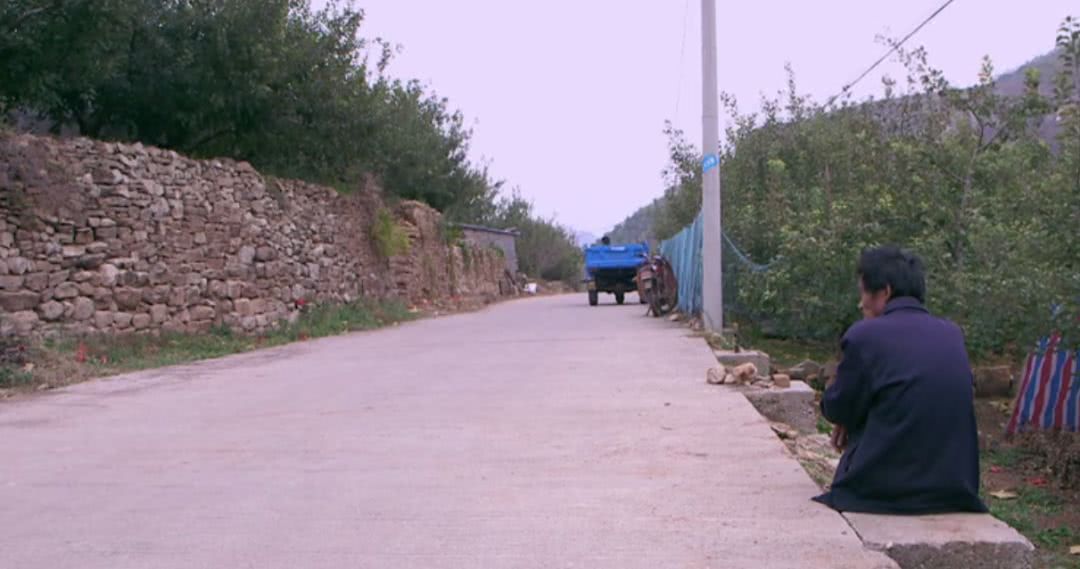 中国农村电影豆瓣,中国乡村大型纪录片