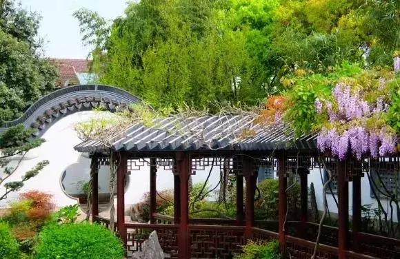 上海超全攻略,上海全天免费最值得去的旅游景点