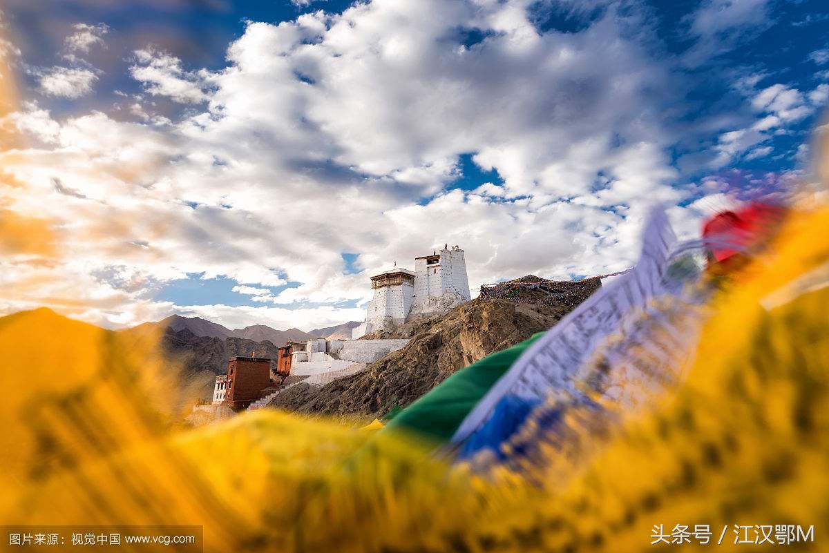 城市普拉多视频,城市向东向南完整版