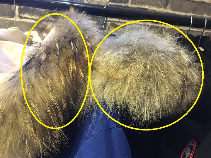 怎样辨认三步鞋是假的,三步辨别真假匡威