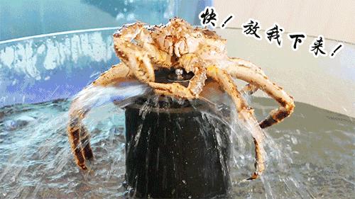 珠海海鲜餐厅湾仔店,珠海最出名的海边海鲜餐厅