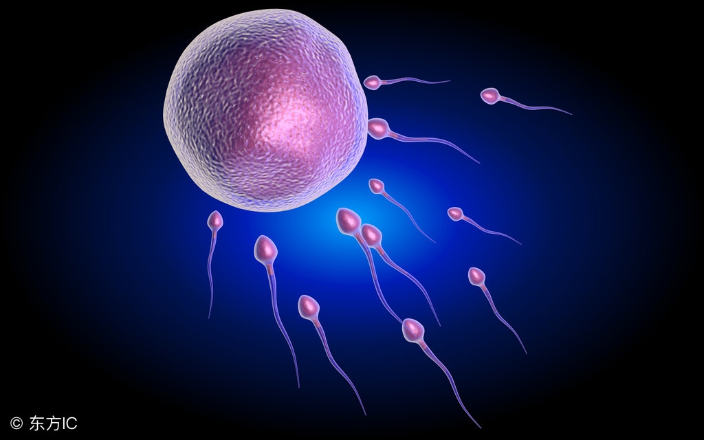 接好孕怎么接下一句,接好孕