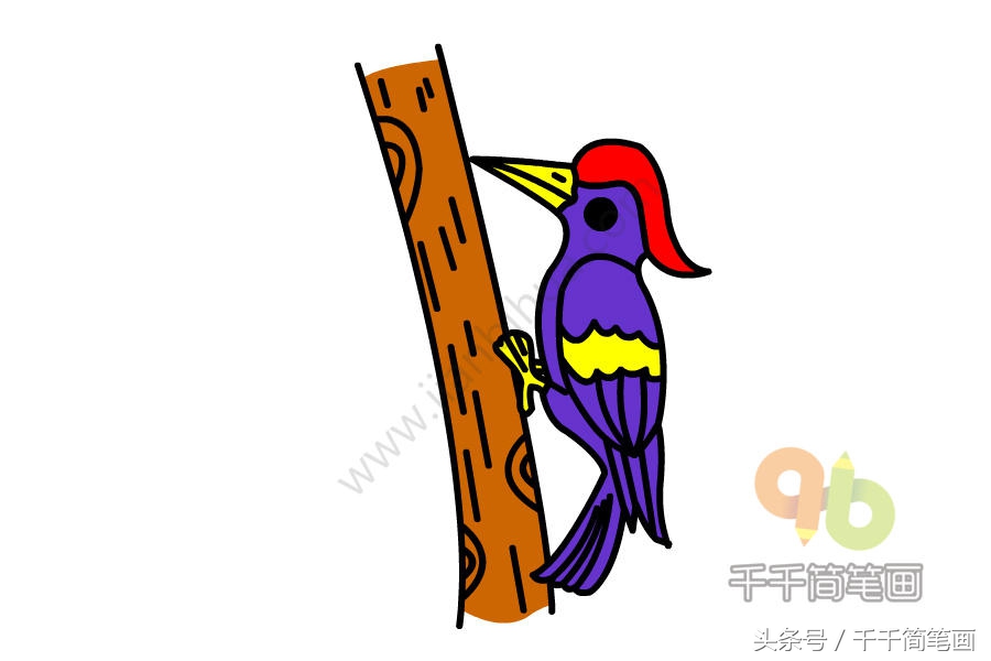 育儿简笔画小动物,育儿简笔画可爱小猪