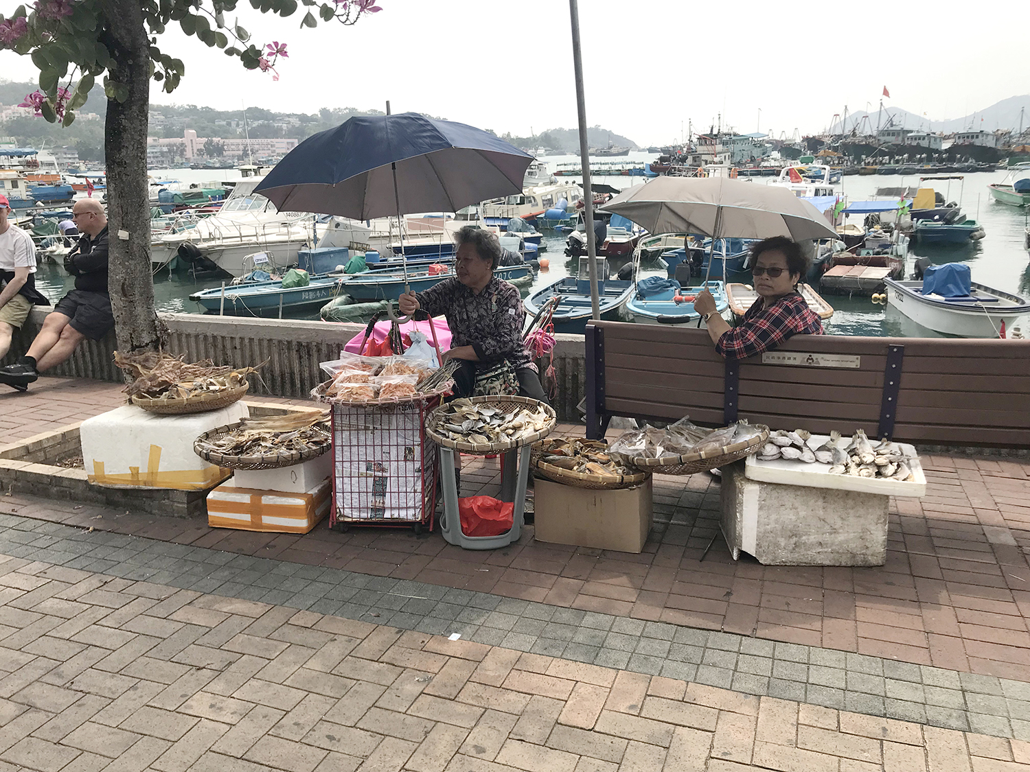 香港长洲岛小渔村,暂离喧嚣的城市去海边