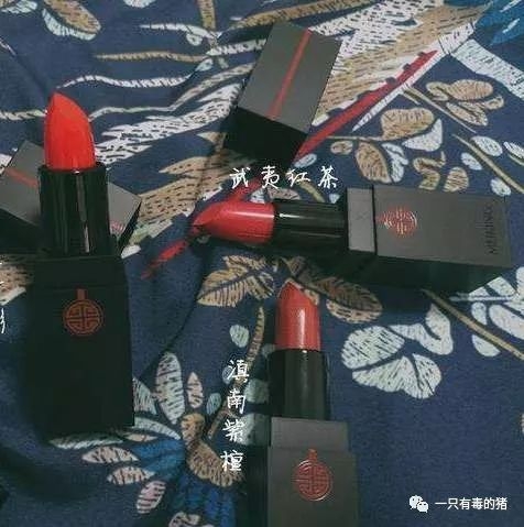 山寨skii,山寨版tfboys闯关