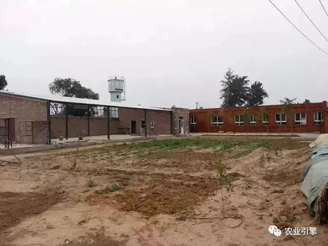 冷清的农家院被设计师折腾坏了成了京城第一精致生态农场