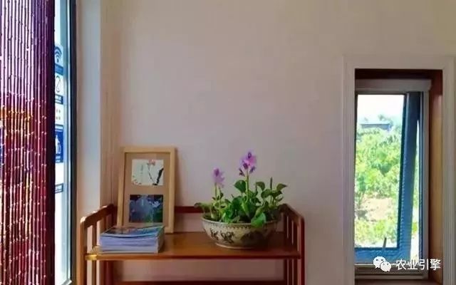 冷清的农家院被设计师折腾坏了成了京城第一精致生态农场