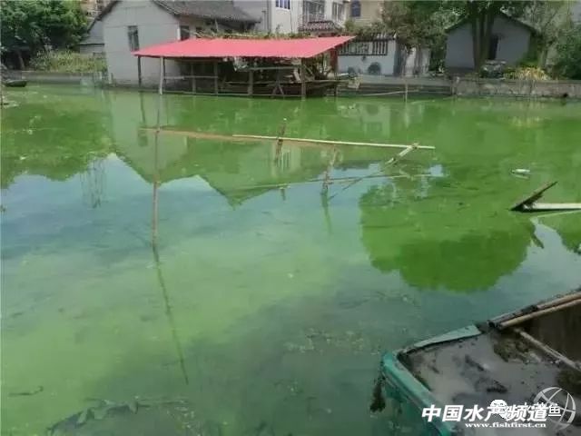 如何辨别好水,怎么分辨好水和坏水