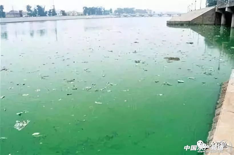 如何辨别好水,怎么分辨好水和坏水