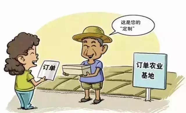 “互联网+农业”谁的荷尔蒙在飞？究竟是路，还是坑？