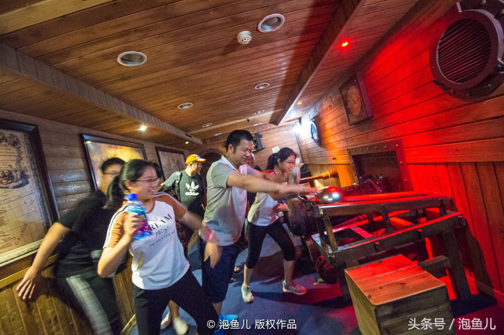 大连极地企鹅,南极企鹅求婚视频