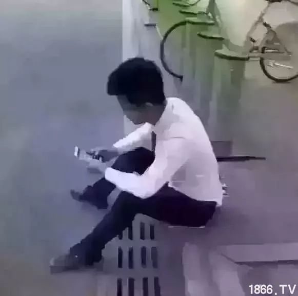 我就是一个卖饲料的，没有套路，只有真诚！（说出了亿万饲料人的心声！）