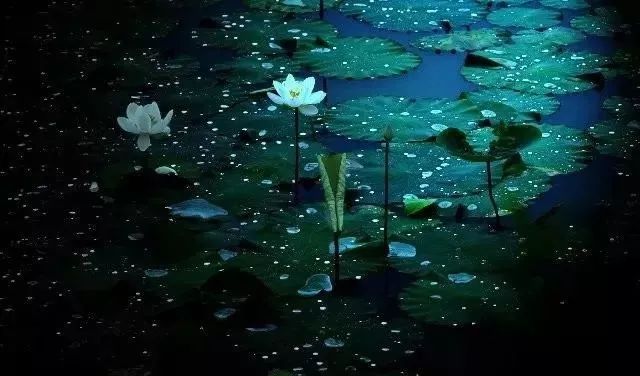 中国诗歌网QQ群诗友9月作品选