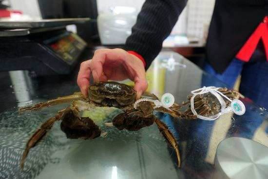 假冒阳澄湖大闸蟹怎么处罚,假冒阳澄湖大闸蟹灰色链条遭曝光