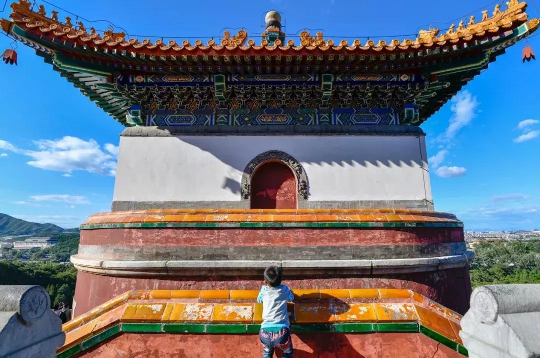 腾龙17-50f2.8镜头,16-55mmf2.8腾龙