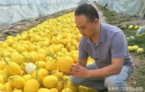 鲜丰水果创始人韩树人老家,鲜丰水果创始人韩树人哪里人