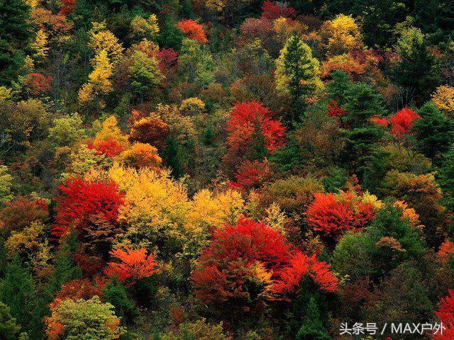 十一国内旅游最值得去的地方,十一假期去哪里旅游排行