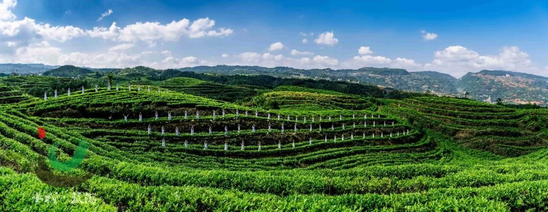 国庆自驾游贵州六盘水,出游贵州推荐