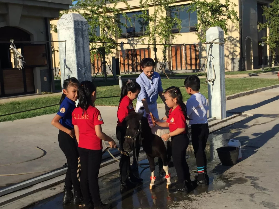 「竞赛通知」富国高银杯2018 FFE PONY挑战赛