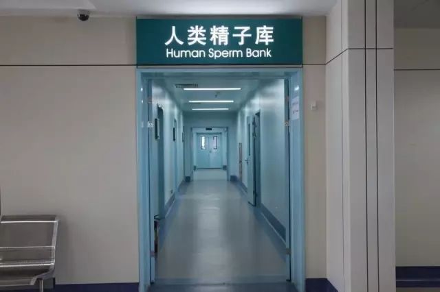 各地精子捐献补贴多少钱,安徽人类精子库捐精有补贴还报销